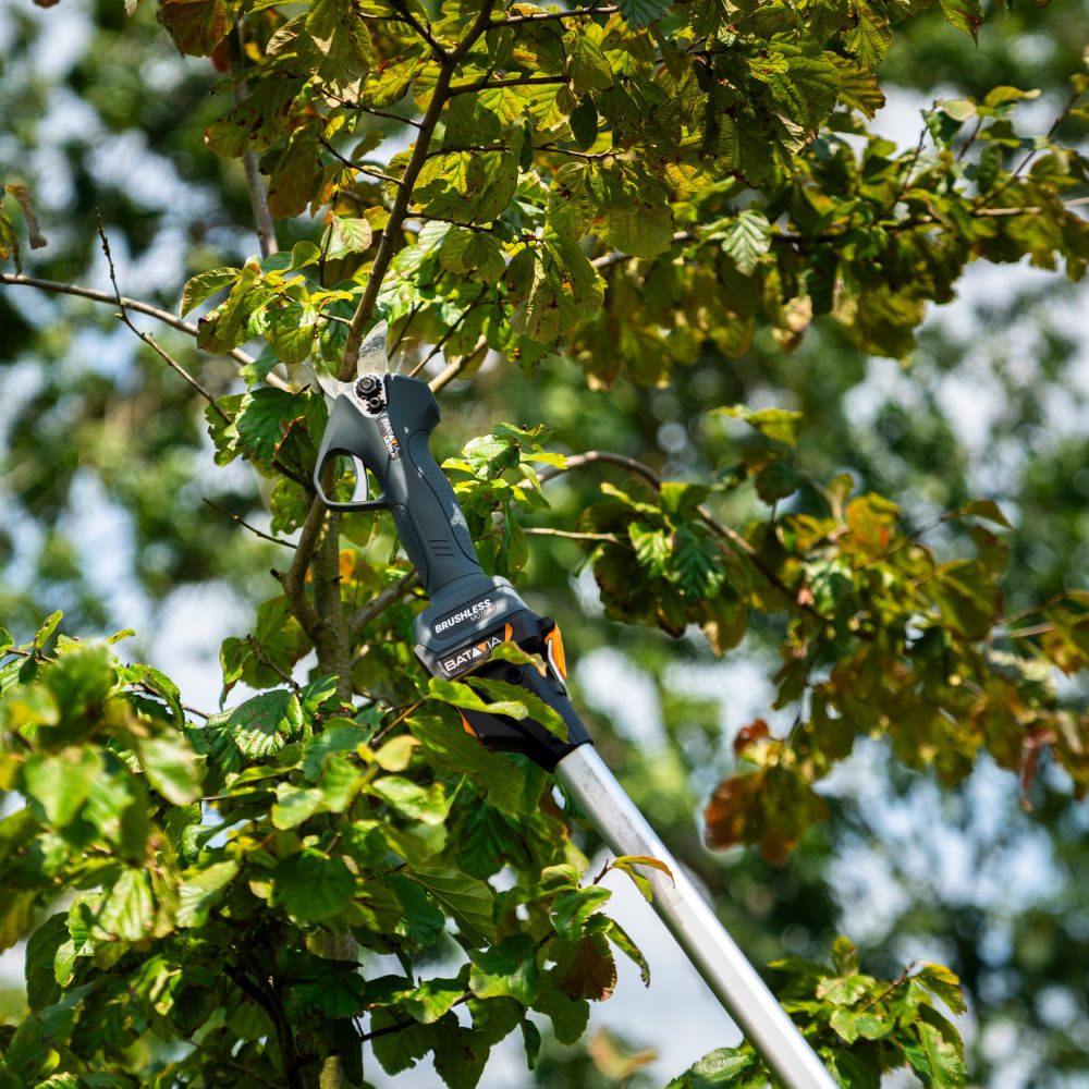 Batavia Telescopic pole 1.15 - 1.75 m. For Nexxsaws en pruner