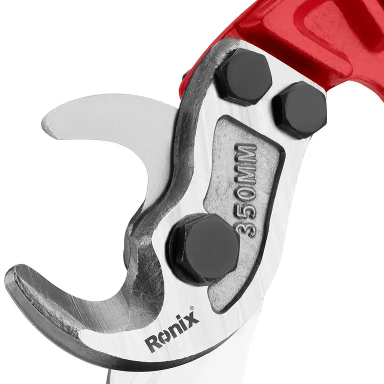 RH-1843-4.webp