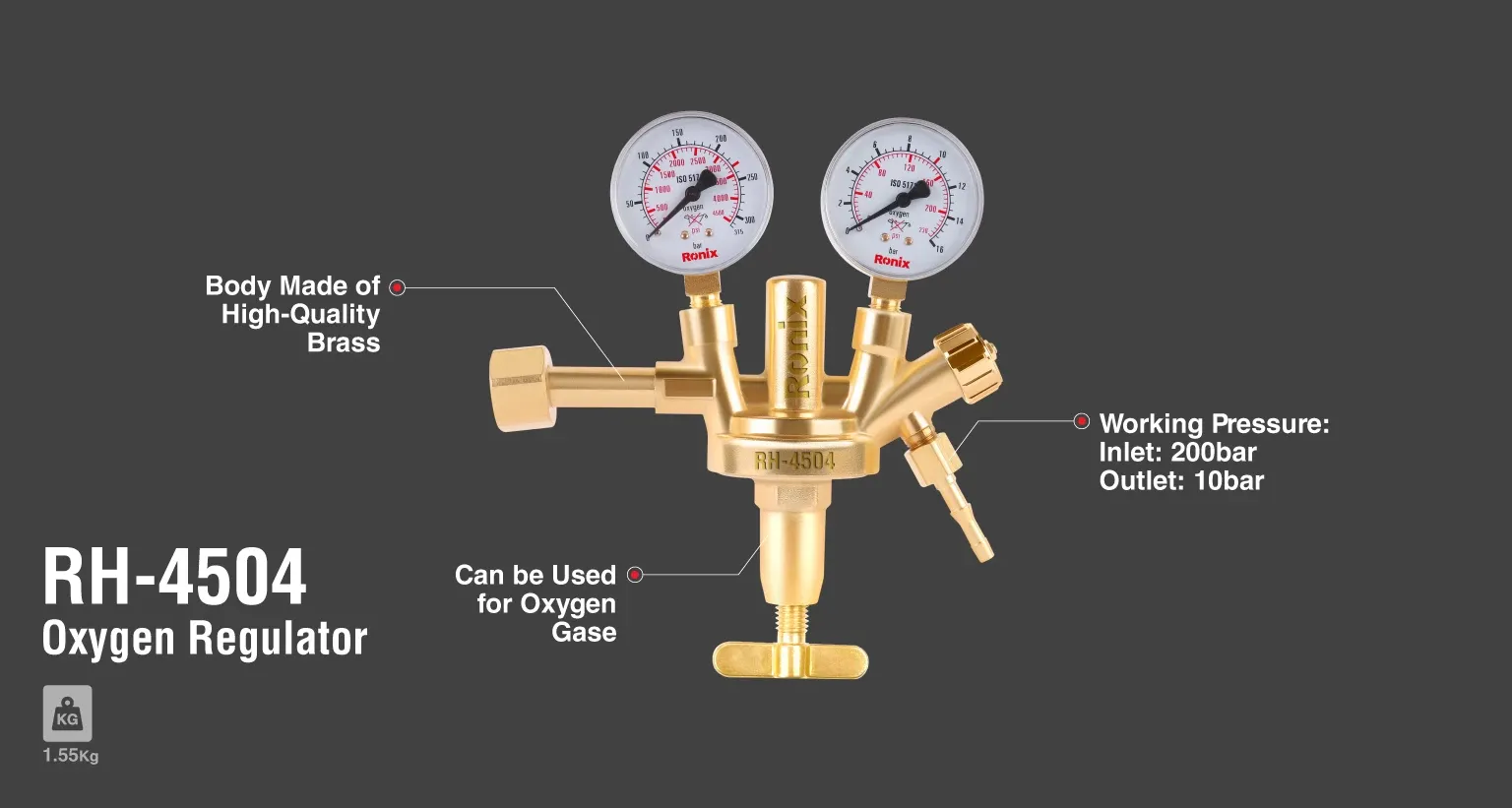 Regulator-Zinser model