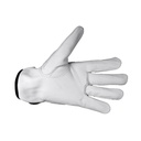 Assembly Goatskin Glove G110 ( White ) Size 10