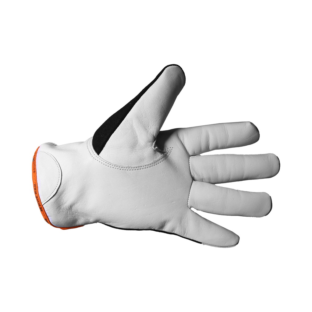 GSON Winter Assembly Glove GV124