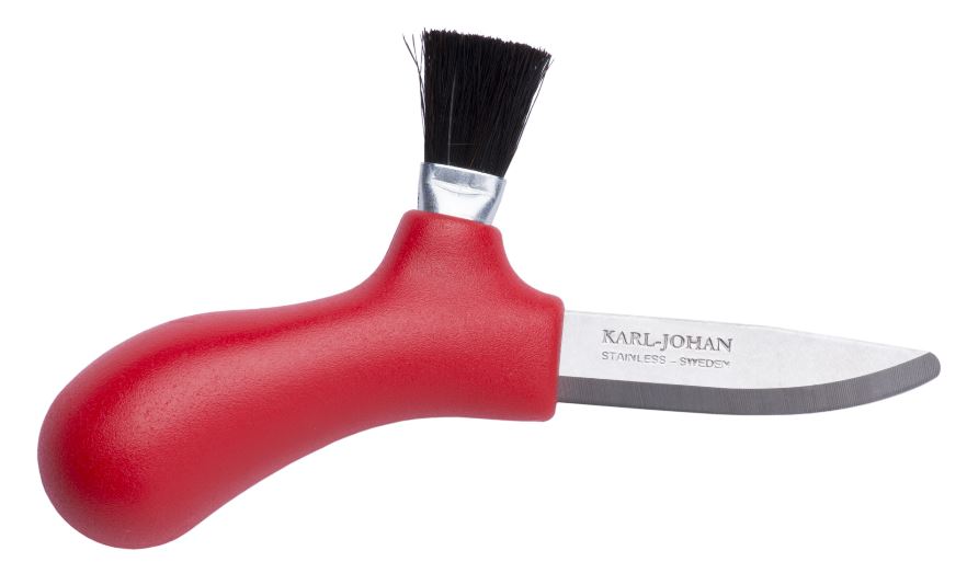 Seenenuga Karl-Johan, roostevaba, punane