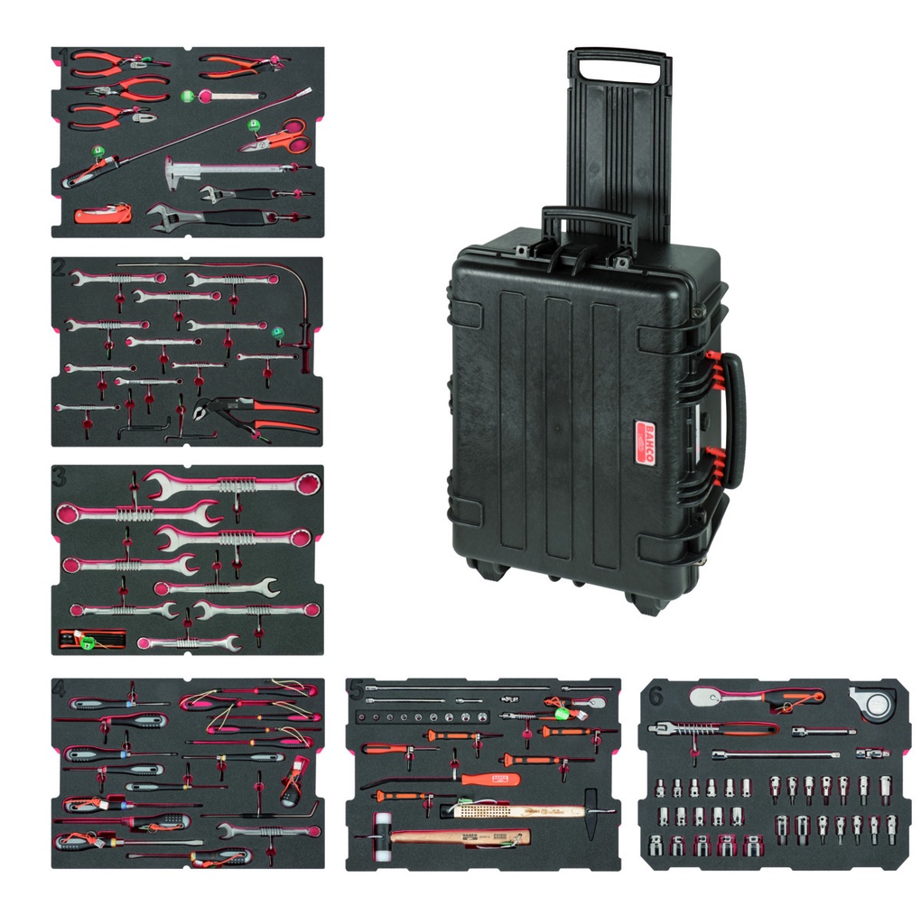 Critical industries demo case