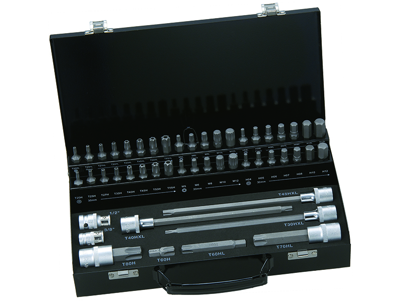 10mm bits set 49 pcs TR, HEX, XZN M
