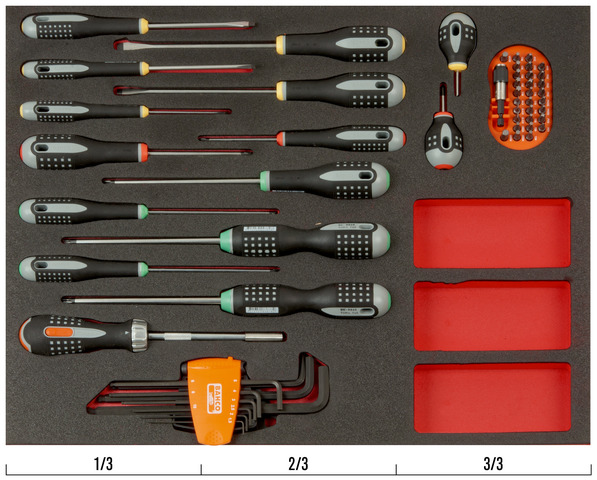 MIX SCREWDR -55 PCS3/3