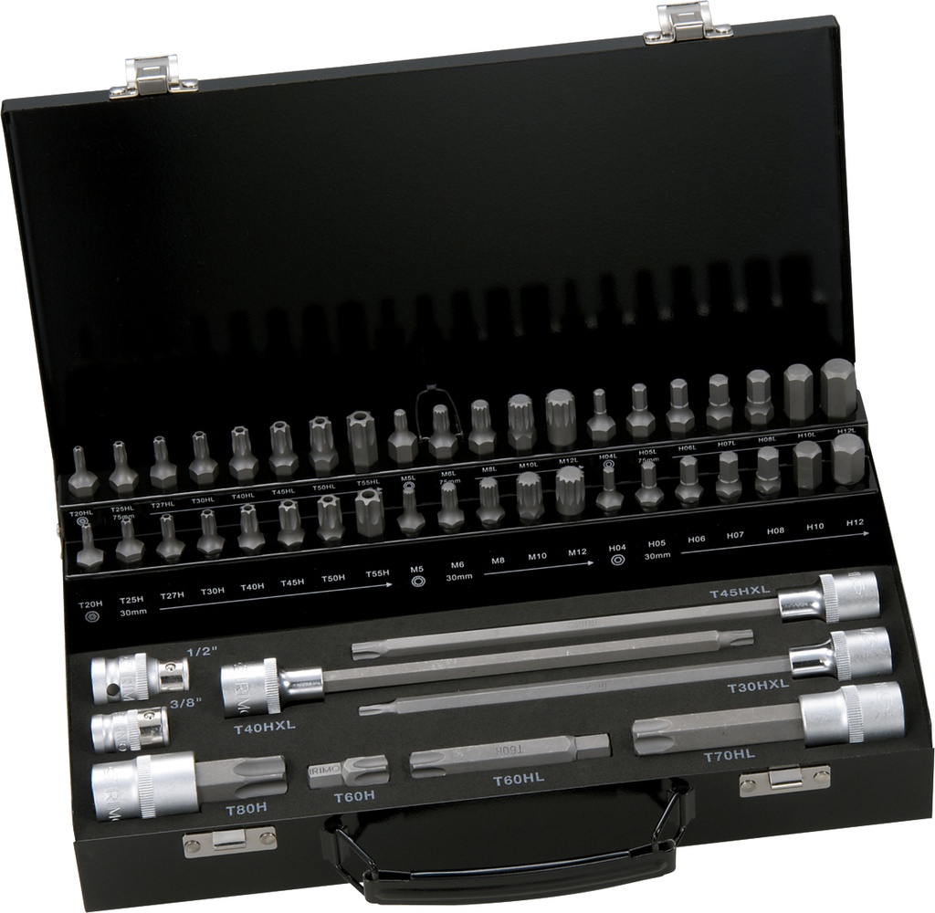 Bit set 49 pcs XZN, Torx, Hex, 30mm, 75mm and 200mm with adapter 10mm drive, in metal box Irimo