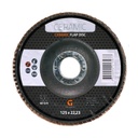 Ceramic Flap Disc 125 x 22,23 mm 60 Grit