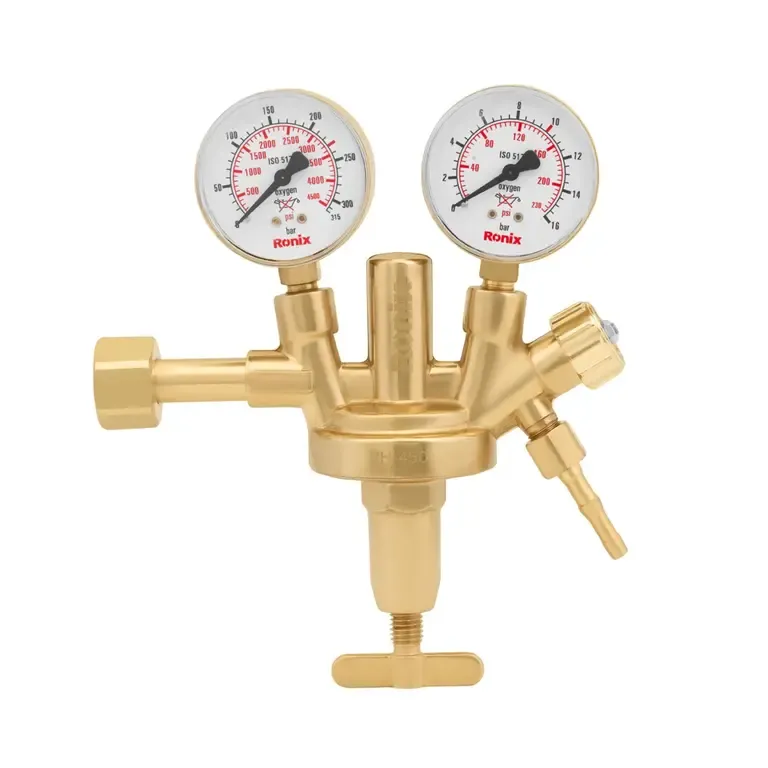 [RH-4504] Regulator-Zinser model