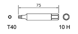 [BE500P2408] Special bit T40 x 75mm, 10H