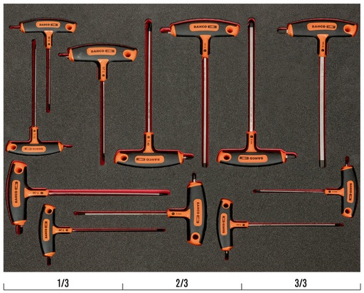[FF1A1011] T formos rankenos atsuktuvų rinkinys 12vnt Fit&Go 3/3 putplasčio dėkle (TORX+HEX)