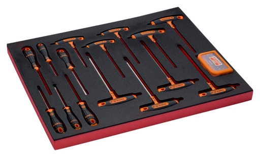[FF1A71] Screwdrivers, T-handle screwdrivers and bit set in foam 45 pcs