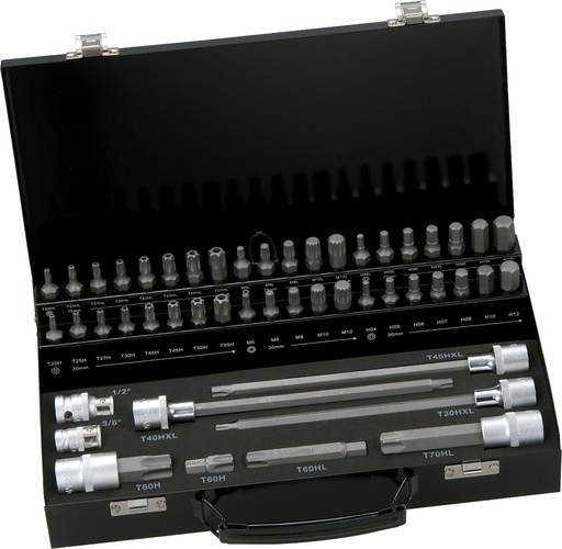 [T49] Antgalių rinkinys 49 vnt. XZN, Torx, Hex, 30mm, 75mm ir 200mm su adapteriu 10mm galvute, metalinėje dėžutėje Irimo