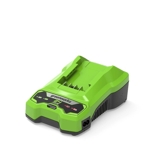 [S9100018] Rechargeable lithium battery Greenworks 2932407 220-240 V