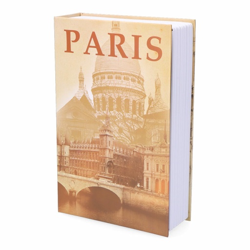 [S7920113] Book-shaped safe Micel CFC08 M13404 Grey Steel Paris
