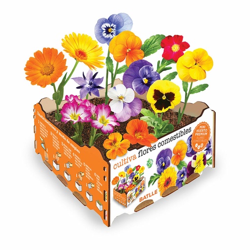 [S7911864] Cultivation Set Batlle Flowers Edible 19 x 19 x 10 cm