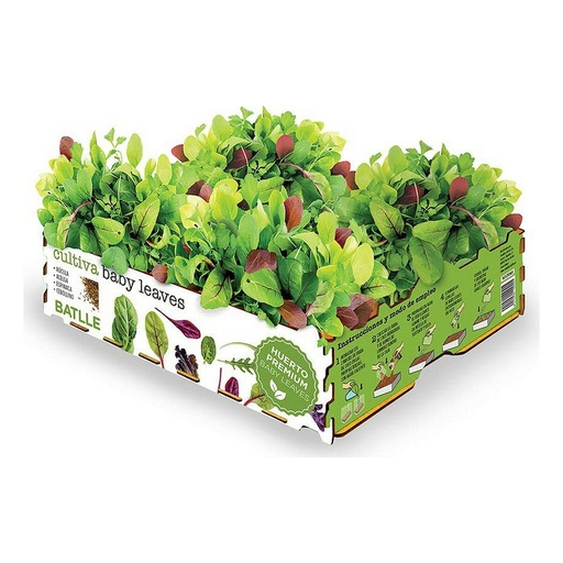 [S7911863] Cultivation Set Batlle Baby Leaves Salads 40 x 29 x 10,5 cm 2,6 Kg