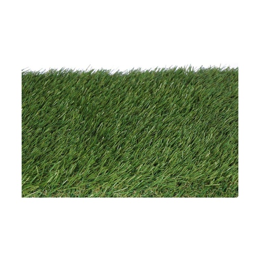 [S7904542] Astro-turf EDM 75829 gracefull Green 2 x 5 m